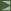 Arrow icon - maria oliveira language learning home